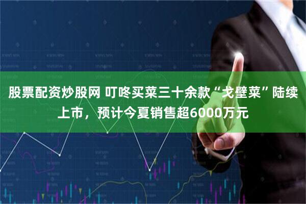 股票配资炒股网 叮咚买菜三十余款“戈壁菜”陆续上市，预计今夏销售超6000万元